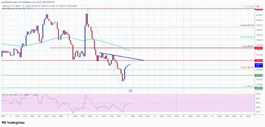 以太坊价格承压下行，市场谨慎情绪升温买家动能减弱