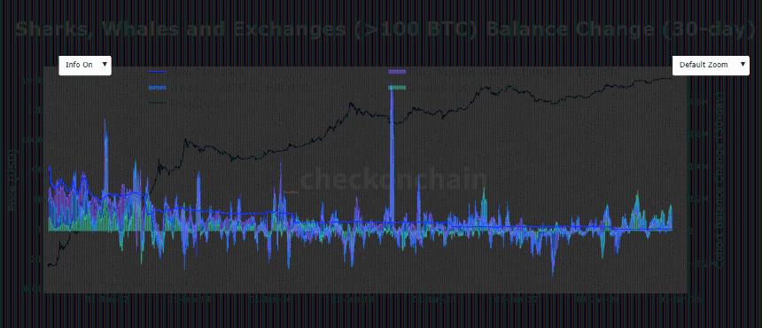 比特币巨鲸是否会阻碍 BTC 的下一轮牛市?