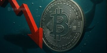  Tether 首席执行官称 USDT 全球用户已达 5 亿 