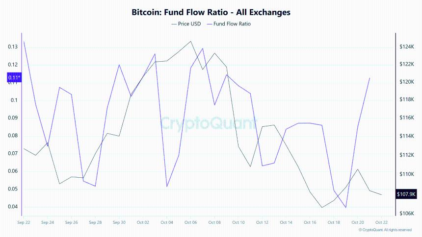 比特币巨鲸是否会阻碍 BTC 的下一轮牛市?