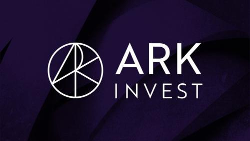 Cathie <span class='keyword'>W</span>ood旗下Ark Invest斥资2130万美元增持Robinhood股票