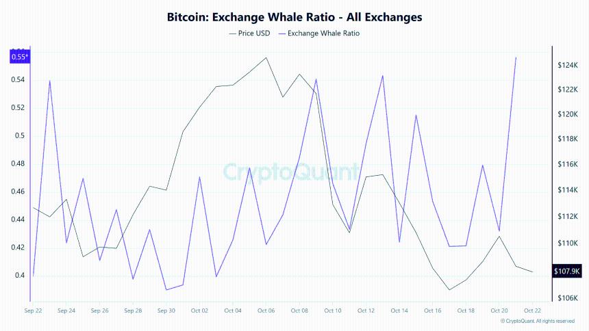 比特币巨鲸是否会阻碍 BTC 的下一轮牛市?