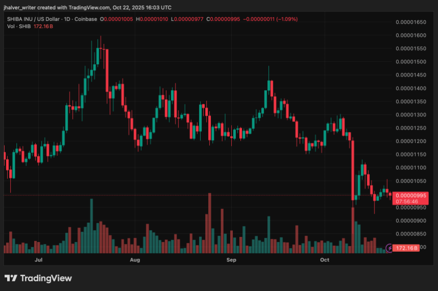柴犬价格下跌18%仍获150万持有者支持,社区对2025年经济反弹充满期待
