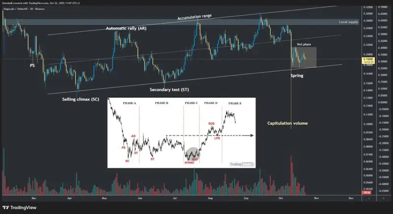 狗狗币与XRP强势反弹:交易员看好狗狗币为ETF浪潮前最佳投资选择