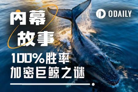 揭秘加密巨鲸100%胜率背后:特朗普派系内幕人士的真实身份