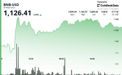 特朗普赦免赵长鹏后，BNB价格飙升交易量激增35%