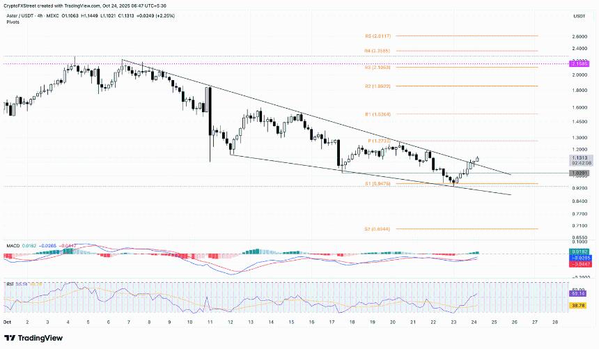  加密货币涨幅居前：Aster、World Liberty Financial、SPX6900 反弹，比特币突破 110,000 美元 