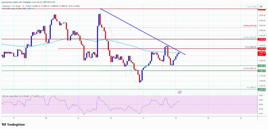  以太坊蓄势待发——上行突破或将开启新一轮涨势 