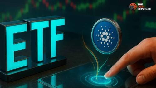 卡尔达诺价格在月度下跌20%后如何反弹？关键支撑位与市场展望