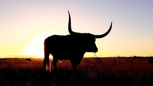 顶级开发者揭示 XRP 战胜 ETF 炒作，市场看涨情绪飙升