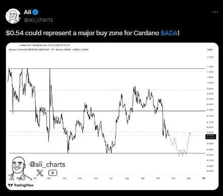 卡尔达诺价格在月度下跌20%后如何反弹？关键支撑位与市场展望