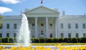  随着梅拉尼娅代币资金流出，最值得购买的表情包币 