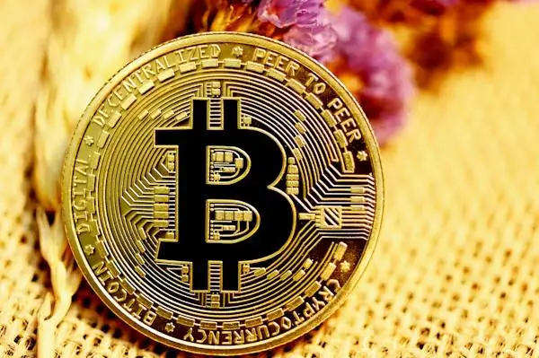 Cardano等待ETF裁决的关键时刻