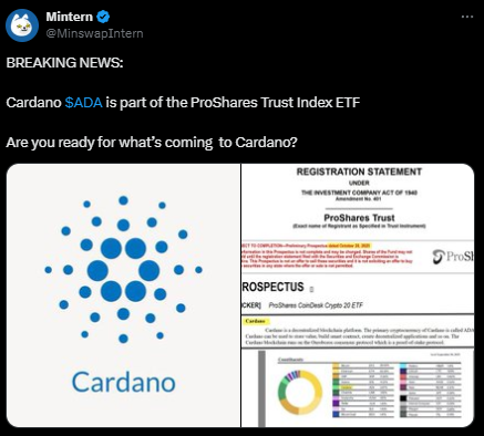 卡尔达诺价格在月度下跌20%后如何反弹？关键支撑位与市场展望