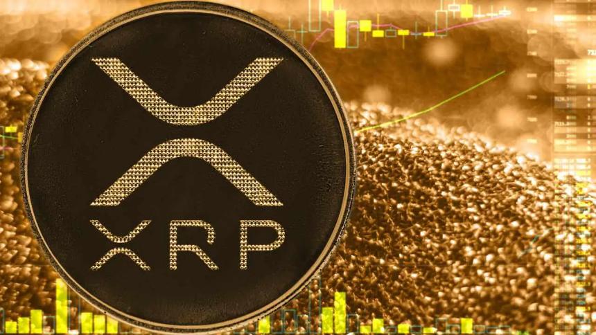 XRP看涨信号显著,市场信心重燃