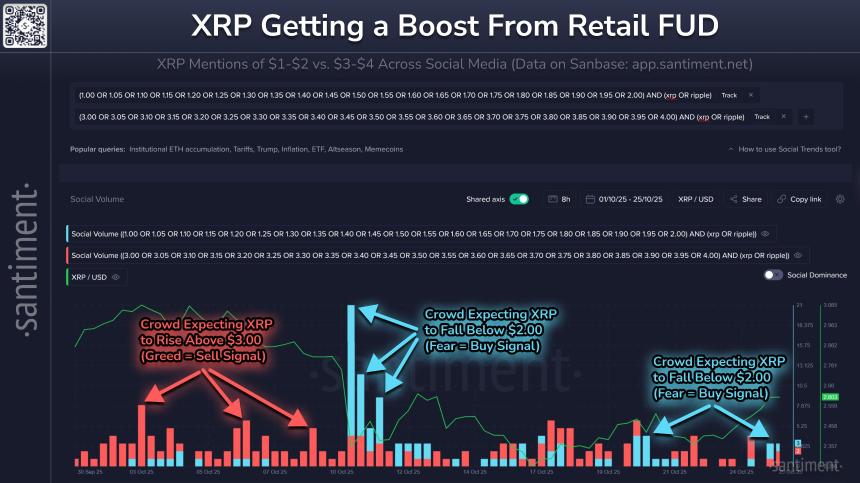 加密货币晨报:XRP价格今日为何上涨?Ripple首席执行官兼总裁无视散户恐慌,Cardano面临20%死亡交叉崩盘风险