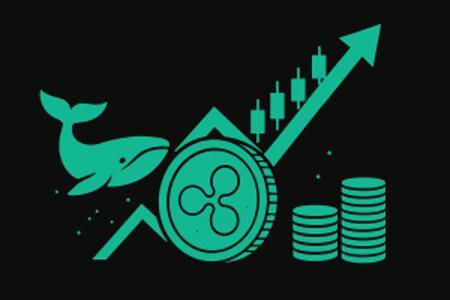 尽管巨鲸抛售,瑞波币 (XRP) 价格逆势上涨——背后驱动因素全面解析