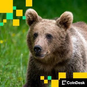 市场低迷下比特币财务公司估值跌破净资产