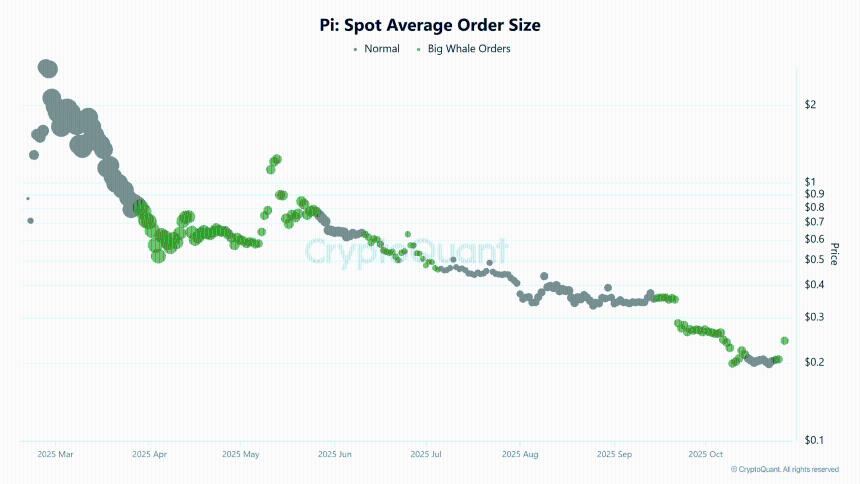  鲸鱼增持与多头主导推动 Pi Network 价格突破 0.27 美元——零售投资者能否借势追涨？ 