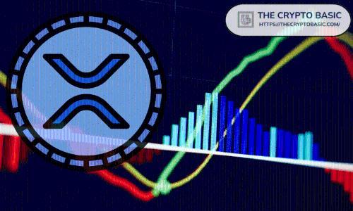 XRP在大规模清算后波动加剧：分析师预测未来价格走势