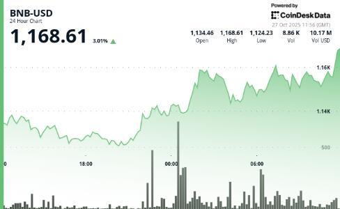 BNB完成16.9亿美元代币销毁后上涨超3%，市值反超XRP重回第三