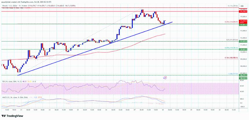 比特币横盘整理——支撑位上方盘整可能推动下一轮上涨
