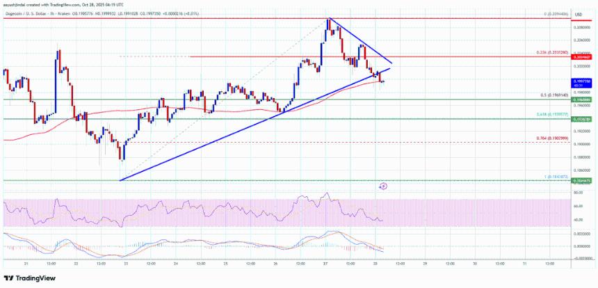 狗狗币(DOGE)价格降温——买家难以维持关键水平以上的复苏