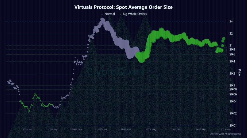 虚拟反弹一周内达 90%——但这发出警告！