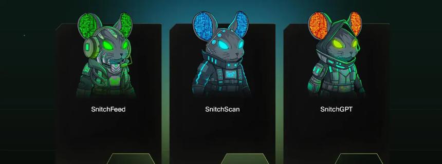 DeepSnitch AI的ICO进展顺利:资本接近50万美元