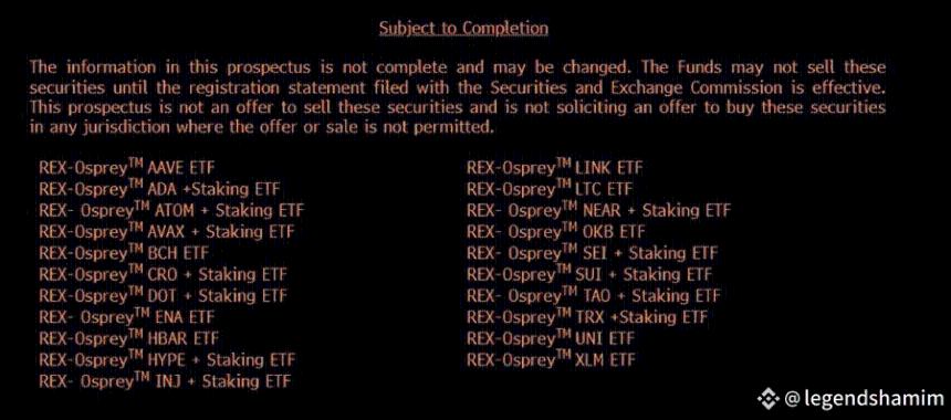 155种待批山寨币ETF:能否引领加密市场进入全面牛市?
