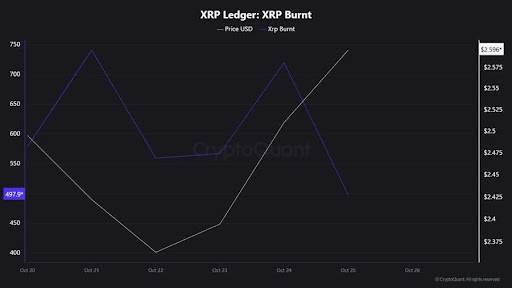 XRP即将迎来重大波动?Ripple CEO为投资者指明方向