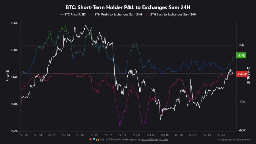 BTC ETF乐观情绪 vs. 获利回吐：为何比特币11.6万美元的争夺战现在如此重要