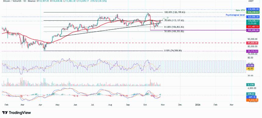 比特币价格预测:在新一轮机构增持浪潮中,BTC 维持在 114,000 美元以上