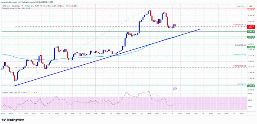 以太坊在回调中显现支撑信号——多头蓄势待发，或将引领新一轮上涨