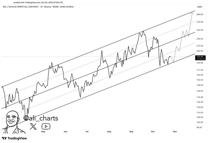  Solana 多头平仓 4700 万美元空头，价格突破 200 美元 