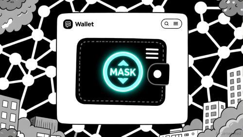 MetaMask潜在代币发行:以太坊生态系统投资者的新机遇与挑战