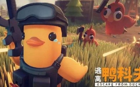 当Web3不再年轻：鸭鸭市场的启示