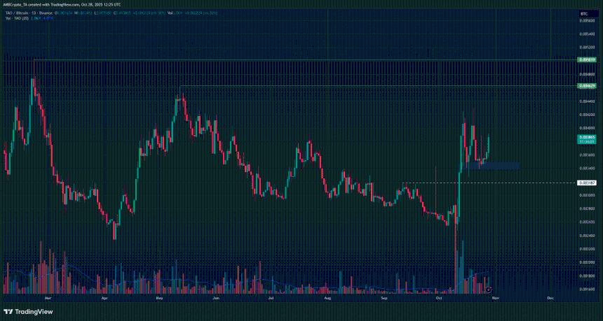 Bittensor 的反弹测试了主要阻力区——如果……则未来还有更多上涨空间