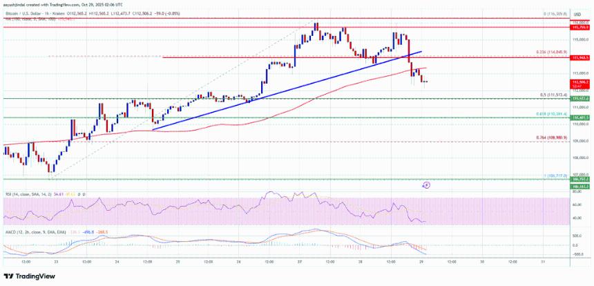 比特币遭遇阻力——上涨后回调风险加剧