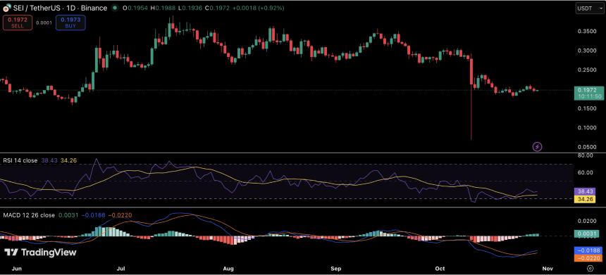 利率下调和贸易谈判提振市场情绪,以下三种山寨币值得关注