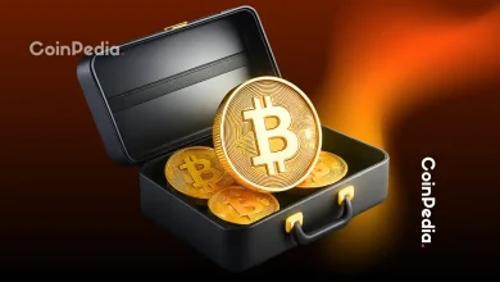 德国另类选择党提议建立国家比特币储备以应对通胀风险