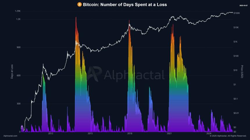 比特币一年内维持在10万美元以上：BTC的平静会成为新常态吗？