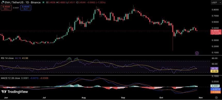 利率下调和贸易谈判提振市场情绪,以下三种山寨币值得关注