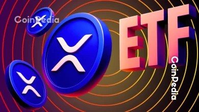  2025年恒星币价格预测：XLM会很快迎来抛物线式上涨吗？ 