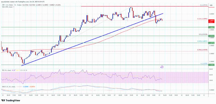 XRP价格面临短期阻力——动能减弱或引发回调风险