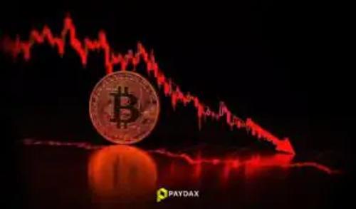 加密货币市场普遍下跌，Paydax协议逆市上涨或迎8000%反弹