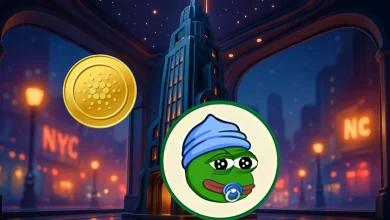 Cardano 午夜网络挖矿正式上线:详情