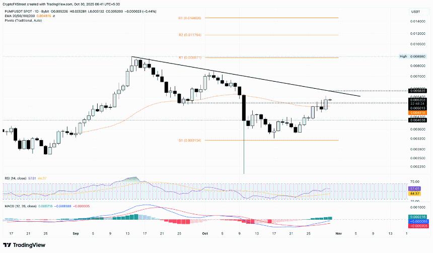 加密货币涨幅榜:Official Trump、Pump.fun 和 Zcash 延续复苏势头
