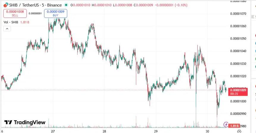 柴犬价格预测:为何投资者正从SHIB转向DeepSnitch AI