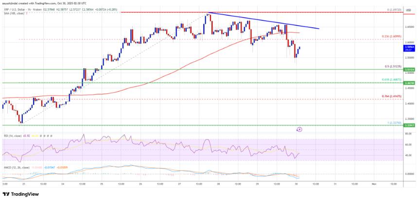  XRP价格预测：走势稳定预示着即将出现牛市突破 